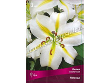 ����� �������.jpg