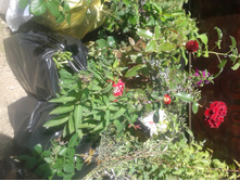 ����� 2015�.