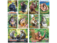 ��������� ��������� ������ ���� - ��������, �������, 2016 �. 1,2.jpg