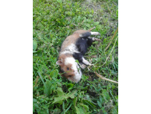 ������ 212.jpg