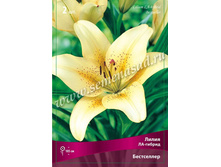 ����� ����������.jpg