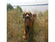 IMG 20150811 092316.jpg