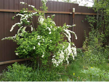 ������ ��������