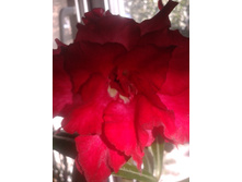 2015-08-22 10.19.52.jpg