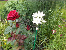 ������� � �����.jpg