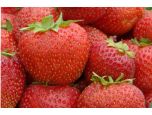 �������� �������� ���� 61 ���.jpg