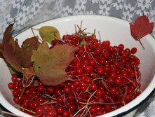 Recovered JPEG Digital Camera 3899.jpg