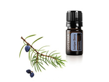 ������������ ������������ Juniper Berry Essential Oil