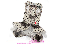 ���� ���.jpg