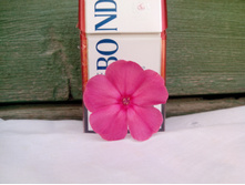 IMG 20150727 134058.jpg