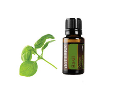 ������� Basil Essential Oil