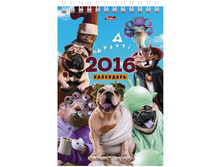 ���������-����� ��������- ����-���� (AVANTI), ������., �� ������, 2016 �. 30,5.jpg