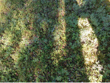 IMG 20150819 125138.jpg