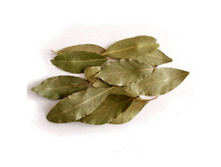 �������� ���� �����, 15 ��. ������