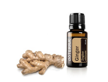 Ginger.jpg