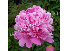 ���� ���� ���� ���.jpg