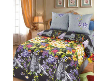 ������������ ����.jpg