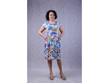 ������ �������� ���.0039	850 ���.