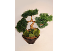 ��(�)30/3�/47 - 1100