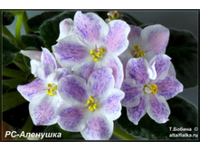 �� - ��������.( ����)