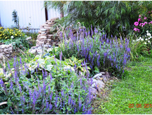 ������ ���������