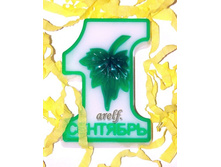 ����- 1 �������� - 100 ���.