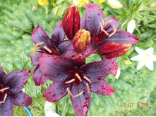 DSCN1030.JPG