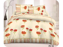 ��� PC-12 (����������).jpg