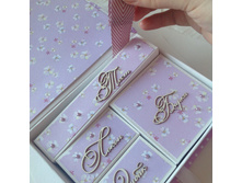 ������ ���������