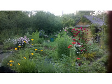 WP 20150704 14 47 01 Smart.jpg