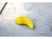 ��� �� �����?