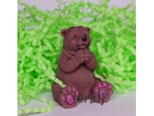 ����� - 120 ���.