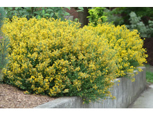 ���� ����������. 120