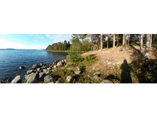 IMG 20150817 070951.jpg