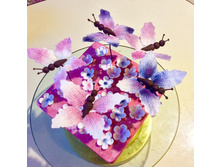 ����� ����� ������))))