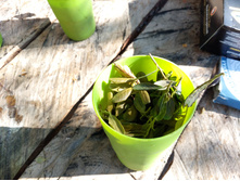 IMG 20150821 133243.jpg