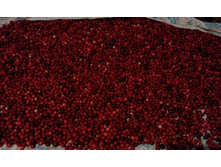 IMG 20150819 200917.jpg