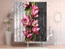 ������ ����� �����.jpg