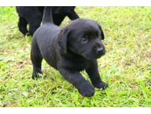 ������� №1