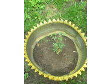 ���� 2015�. ��������� ���� �������