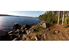 IMG 20150817 071122.jpg