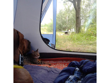 IMG 20150724 184501.jpg