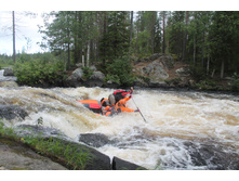 �.����� (���)