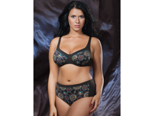 ��������� FIANETA 1790 529,00