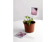 ������� ����� ����������, �������� 10 �� ���� 71 ���.png