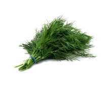 ����� ������, 100 �� ������