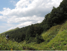 DSCN2367.JPG