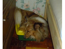 ���� � �������� �����