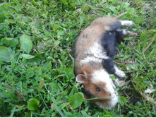 ������ 214.jpg