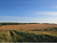 IMG 5667.JPG